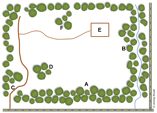 A diagram showing the six modifications described below that can minimize the aesthetic impact of a clearcut.