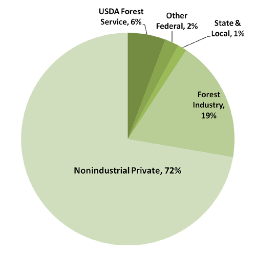 A graph showing forest ownership in East Texas based on 2008 FIA data.