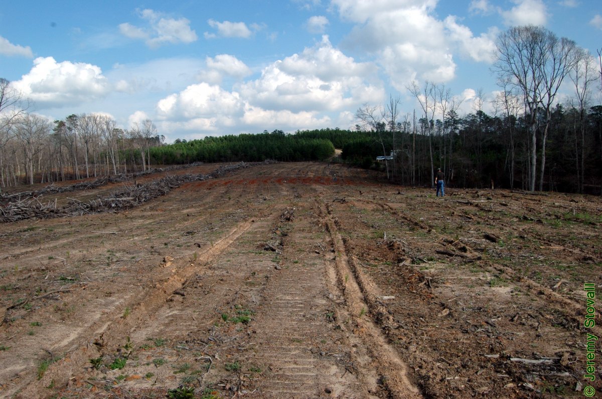 SFA Silviculture - 1.3. Introduction: Art & Science of Silviculture